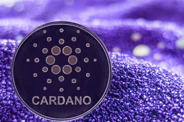 Cardano&rsquo;s Network Usage Increases, 3 Million Wallets now Hold ADA